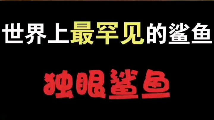 独眼仔